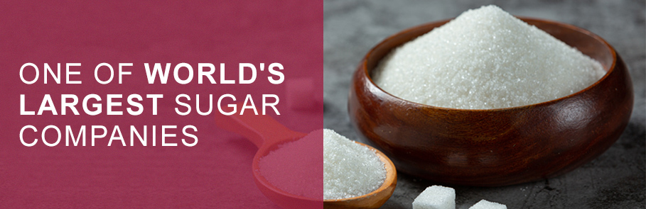 Bajaj Hindusthan Sugar Ltd